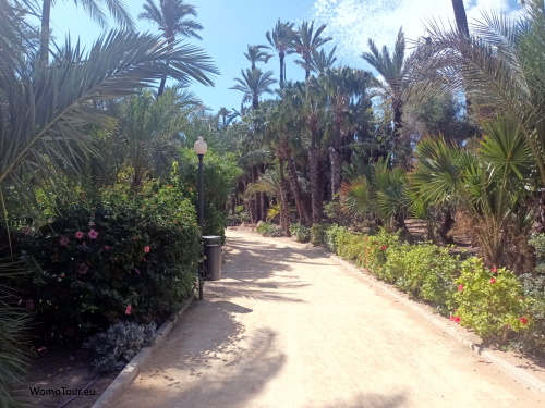 El Palmeral2W